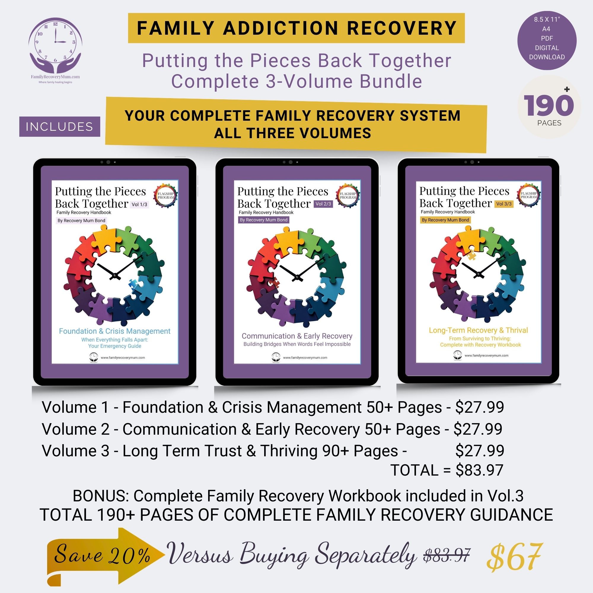 3-Volume Family Recovery Handbook Bundle