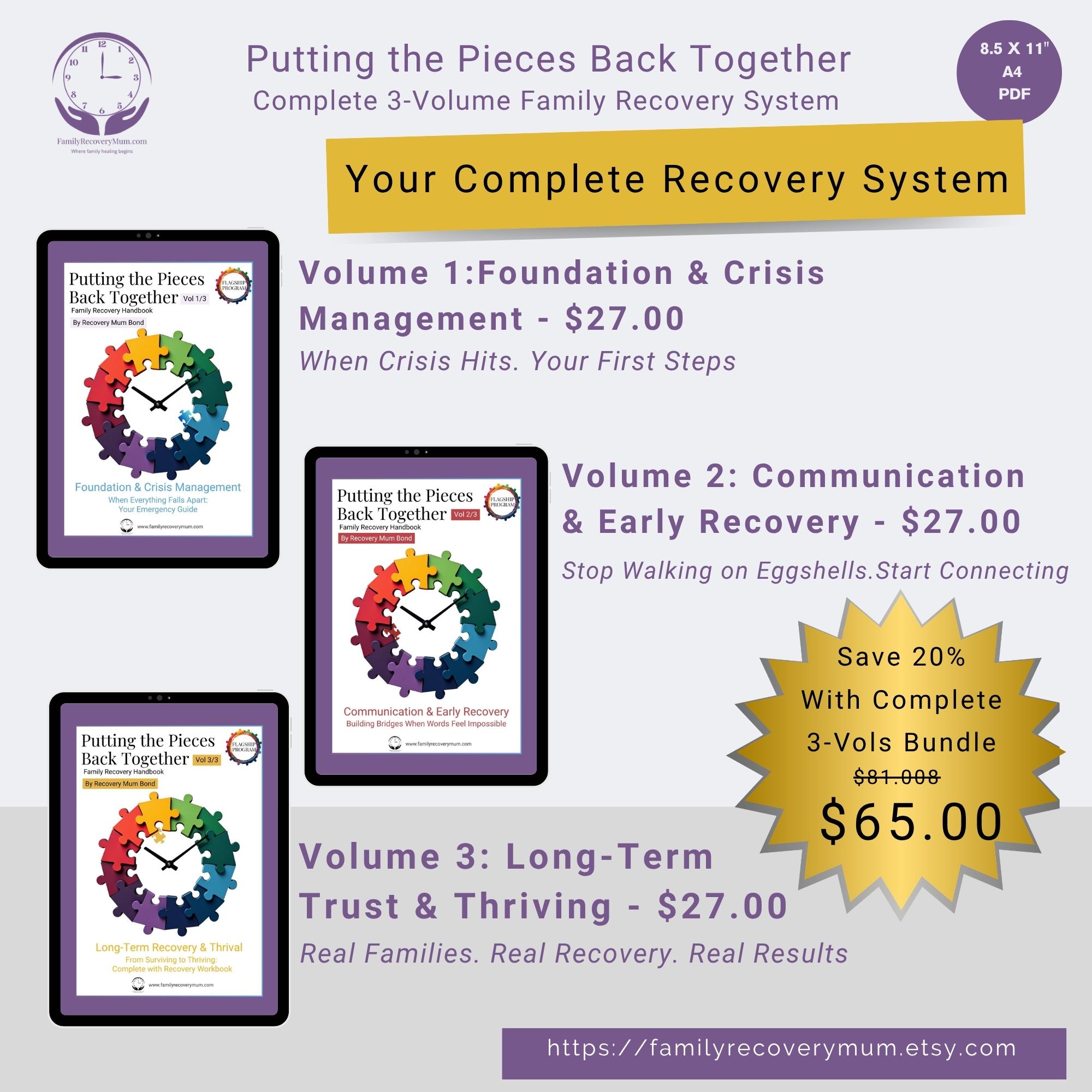 3-Volume Family Recovery Handbook Bundle